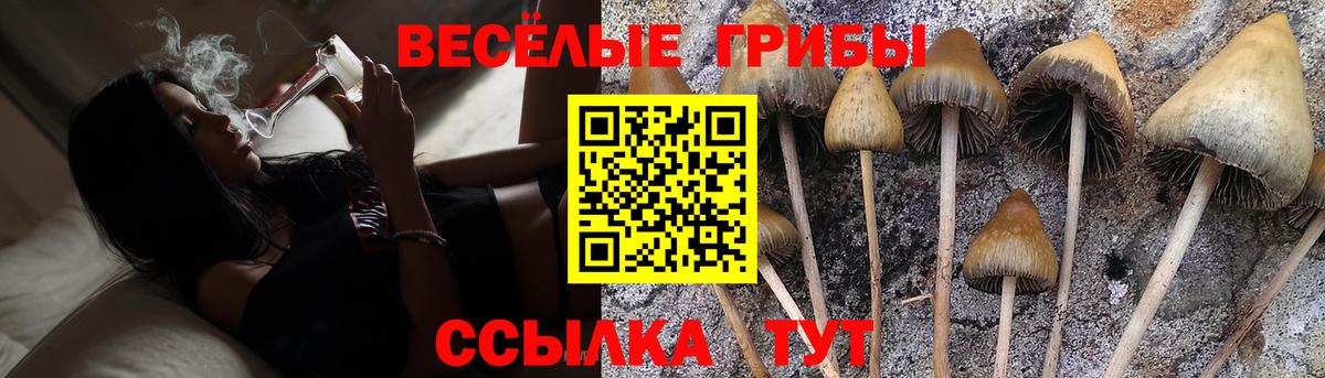 Галлюциногенные грибы Psilocybe  Галлюциногенные грибы прущие грибы  Симферополь  Вход с VPN 